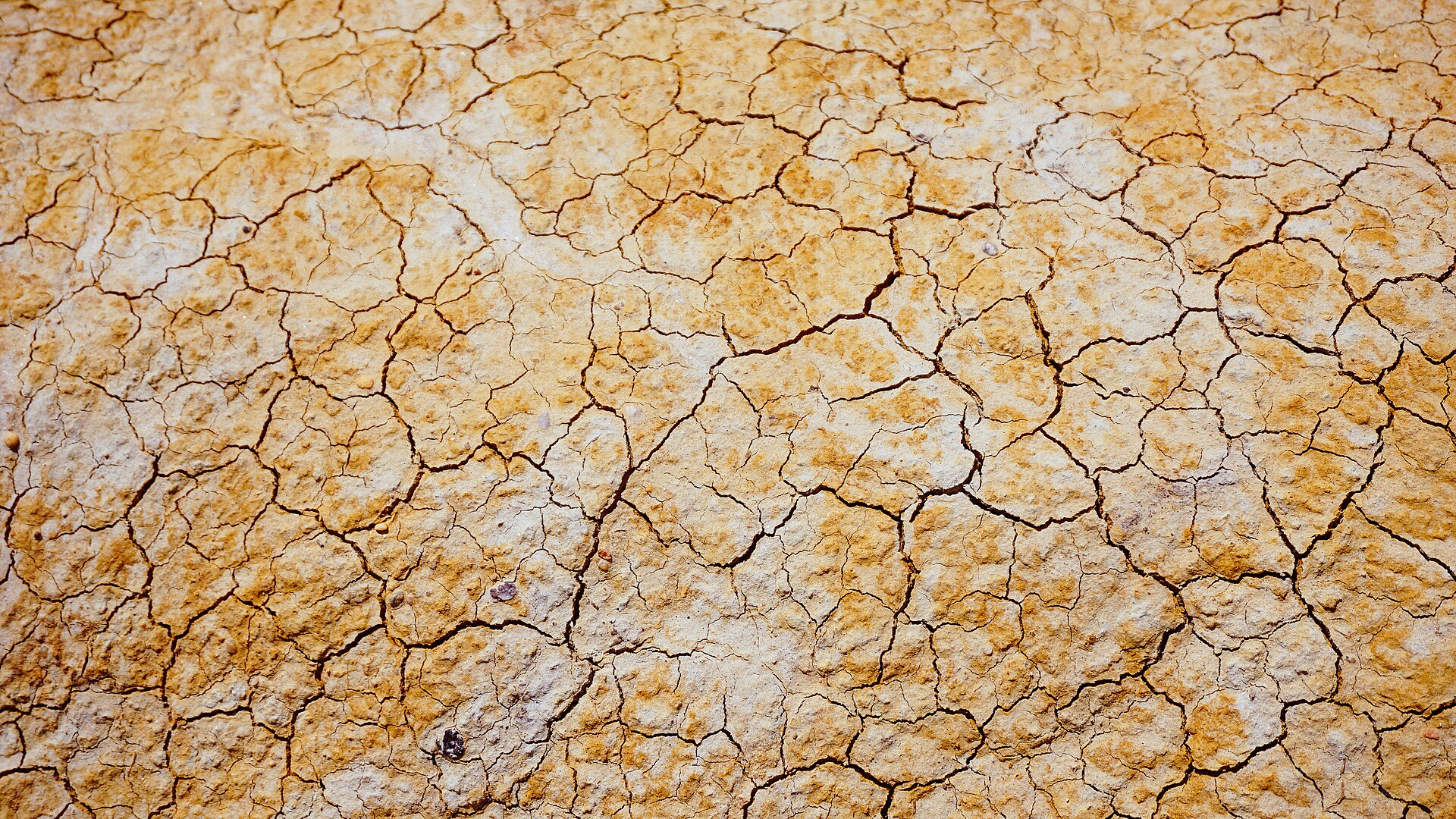 Drought landscape connected to environmental education impact
