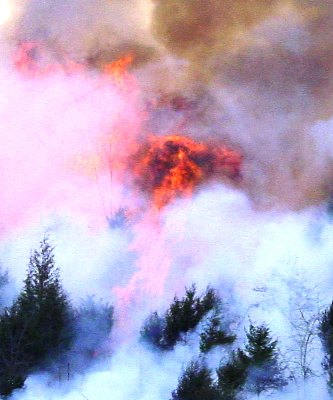 Wildfire landscape connected to environmental safety education